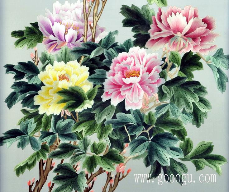 富貴牡丹花細節(jié)特寫圖、顏色過渡協(xié)調！